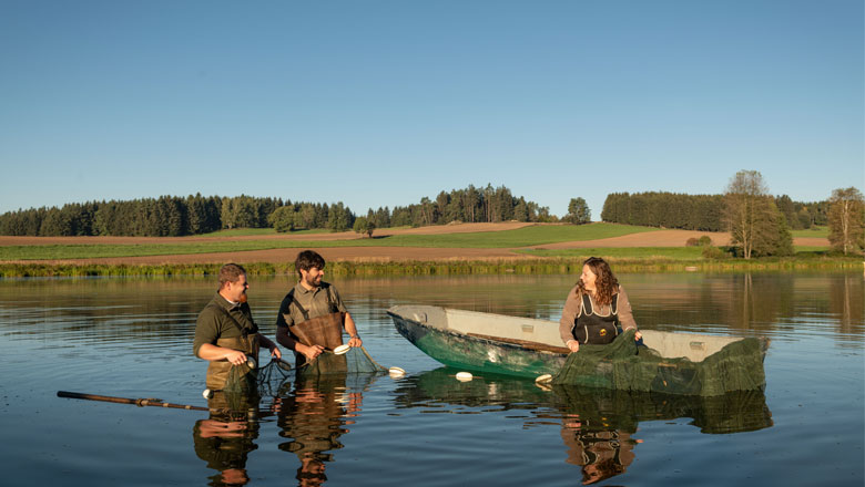 Fisch- Und Angelmöglichkeiten Im Waldviertel